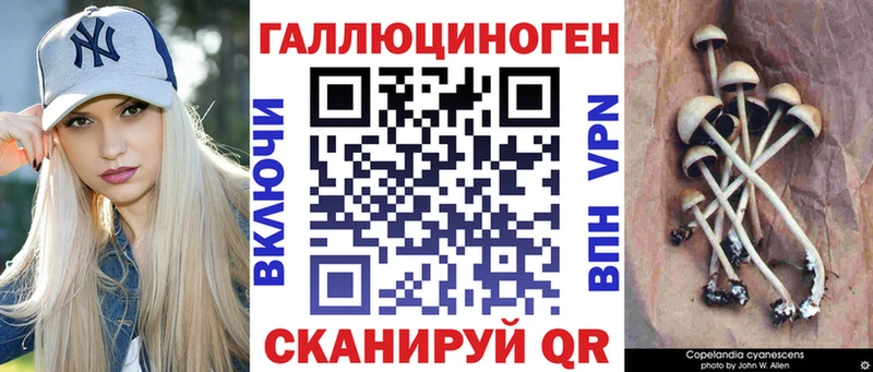 Галлюциногенные грибы Magic Shrooms как найти наркотики Мышкин
