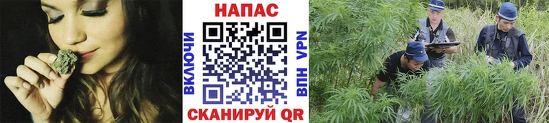 shop официальный сайт  купить наркотик  Мышкин  МАРИХУАНА Amnesia 
